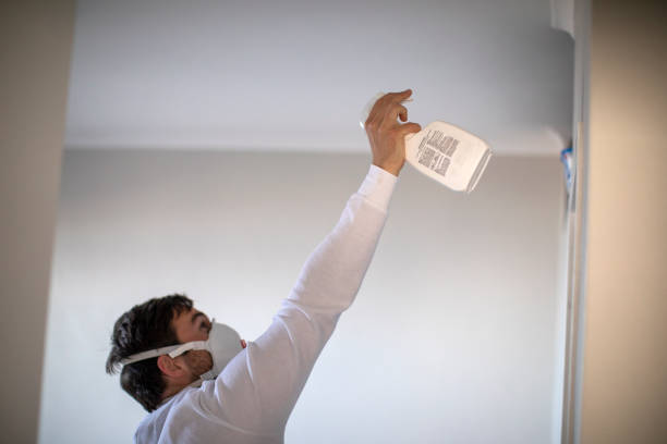 Best Toxic Mold Removal  in Parksdale, CA