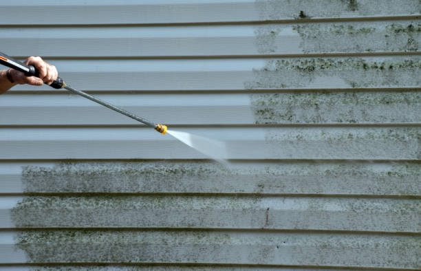 Best Mold Cleaning Services  in Parksdale, CA