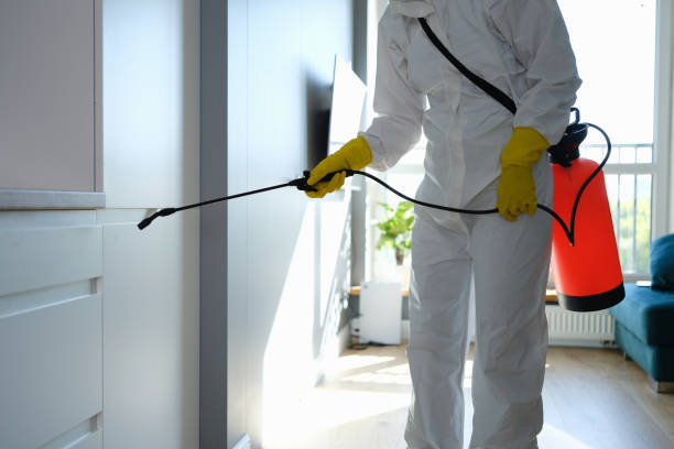 Attic Mold Removal in Parksdale, CA