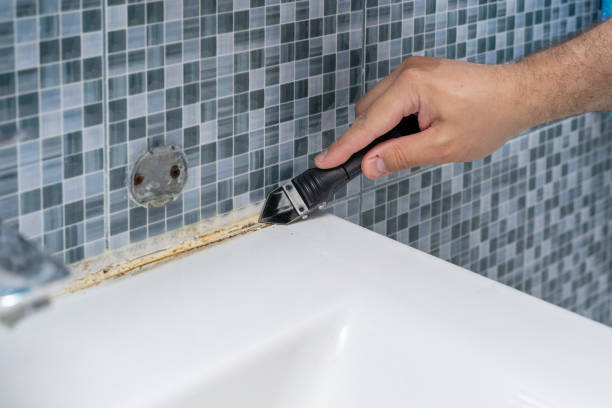 Best Certified Mold Removal  in Parksdale, CA