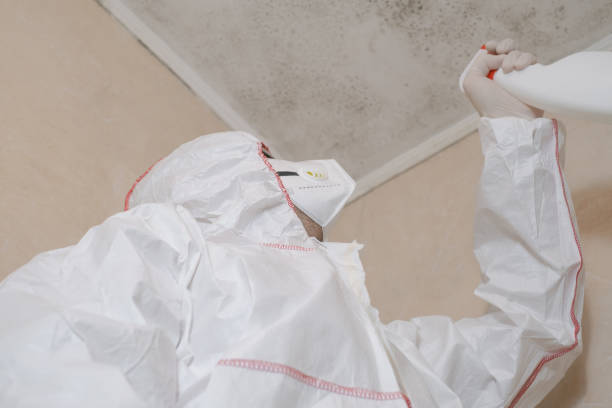 Best Mold Testing  in Parksdale, CA