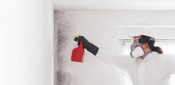 Best Crawl Space Mold Removal  in Parksdale, CA