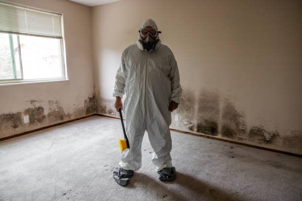 Reliable Parksdale, CA Mold Removal Solutions