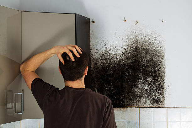 Best Mold Cleaning Services  in Parksdale, CA